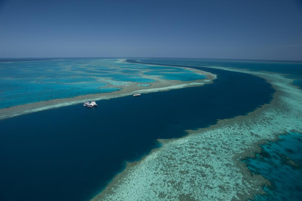 Great Barrier Reef Adventure, Day Tours & Cruises
